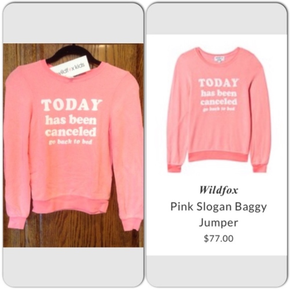 Wildfox Bright Coral Graphic Sweatshirt - Picture 6 of 14